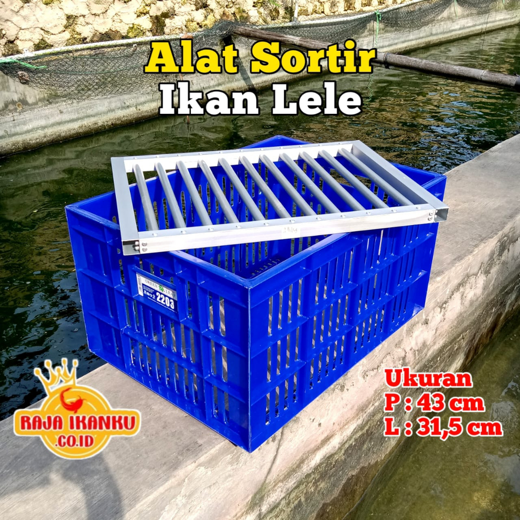 Alat Sortir Lele Dan Keranjang Alat Sortir Ikan Lele Saringan Lele Ayakan Ikan Lele.