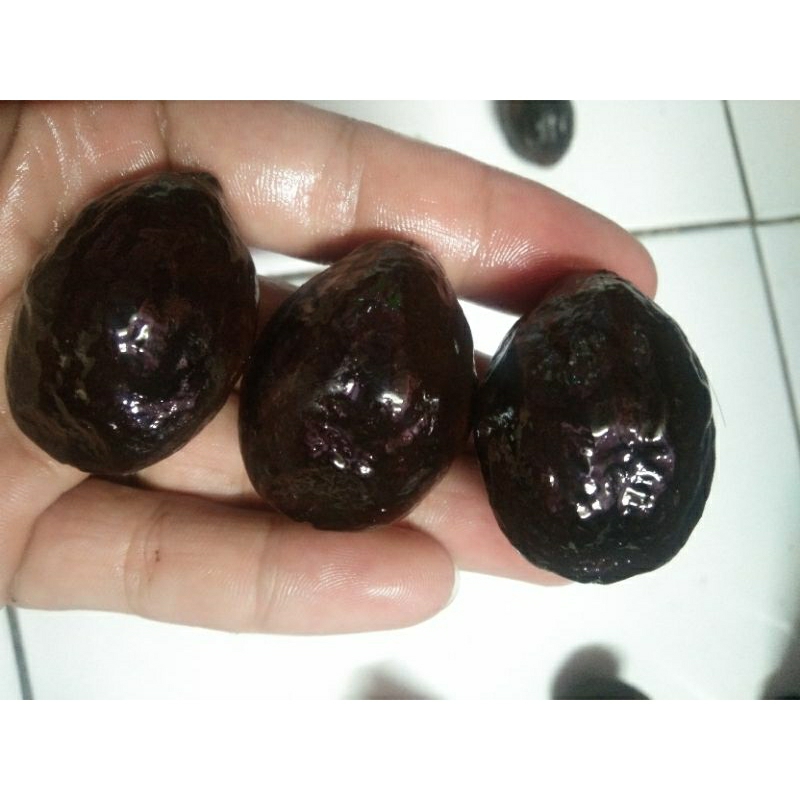 Muncang adu nyo" jayanti