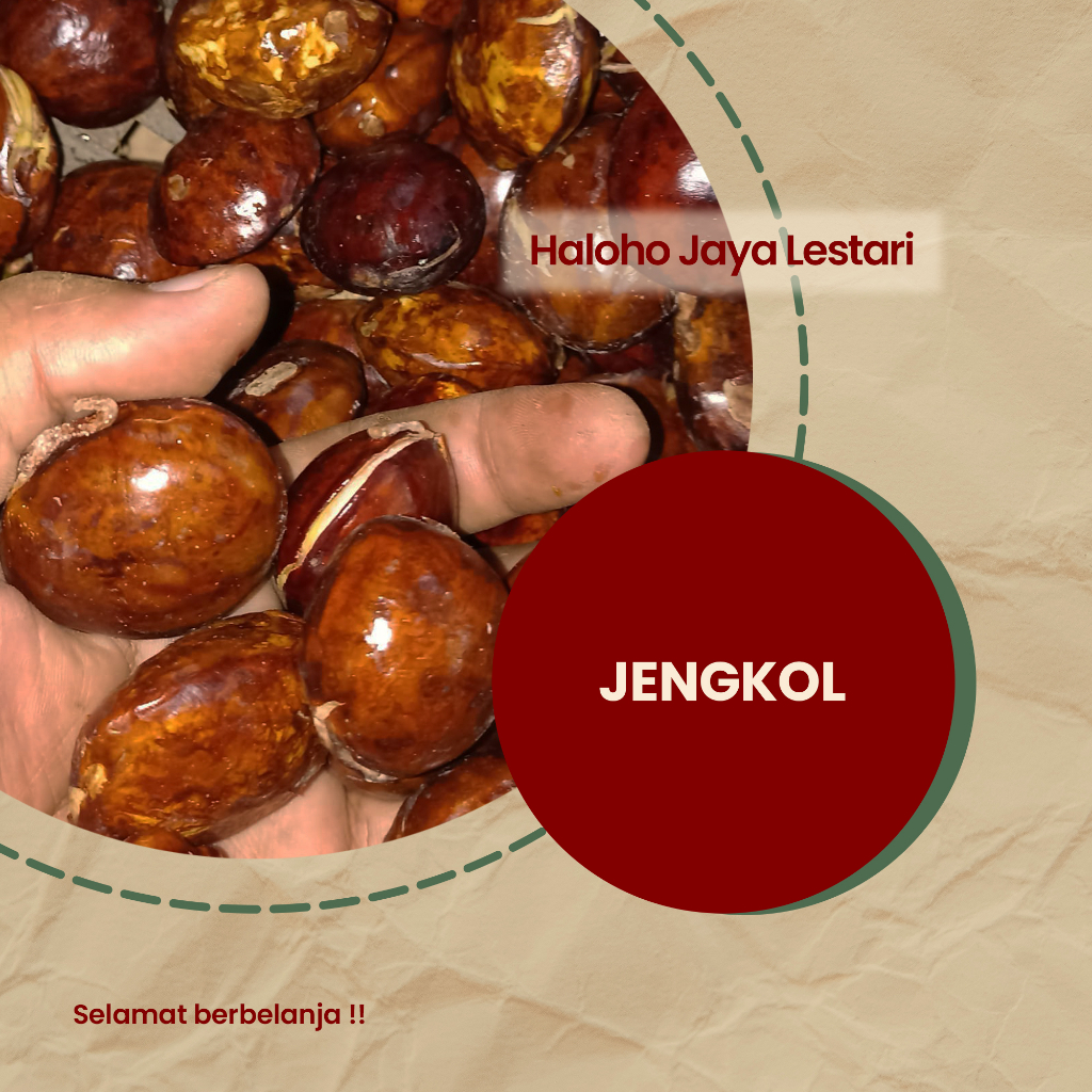 

JENGKOL TUA PILIHAN FRESH 1KG