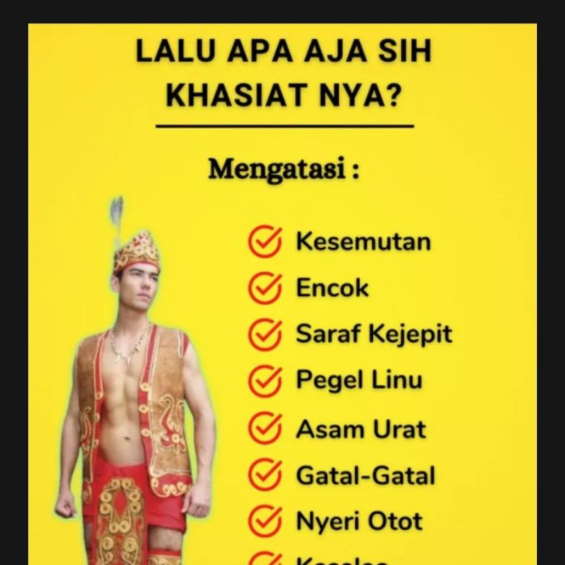 Minyak Urut Dayak 100% Asli Akar Kayu Terbaik Kalimantan Rajanya Minyak Urut Dayak Traditional