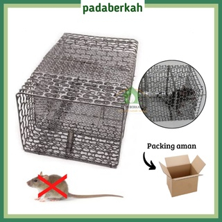 Jebakan Tikus Besi/ Perangkap tikus Besi/Perangkap tikus besi / Jebakan tikus / Perangkap musang