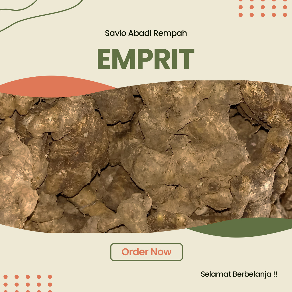 

JAHE EMPRIT PILIHAN BESAR 1KG