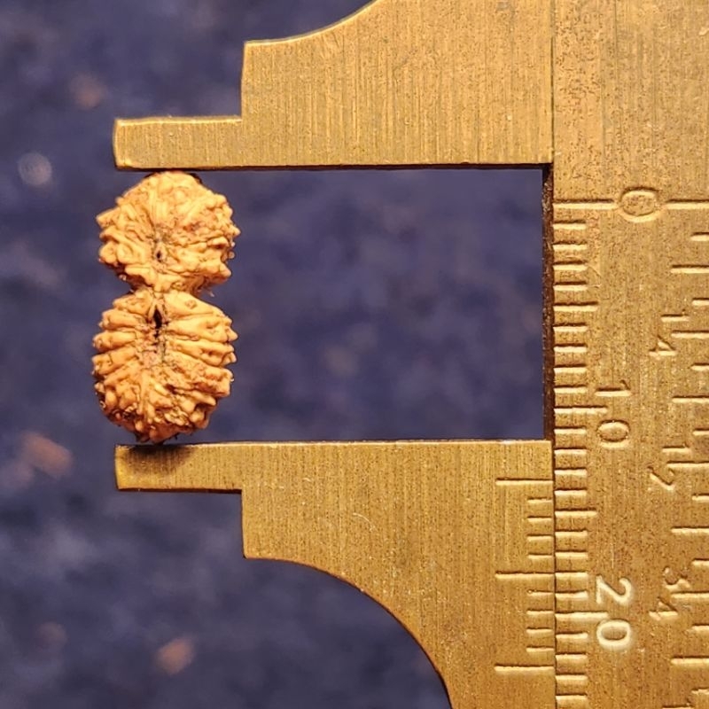 Mukhi 18 gs medium size