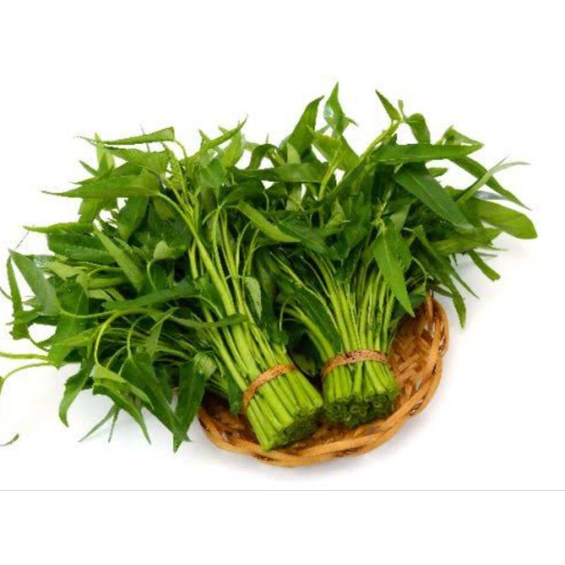 

TERMURAH Kangkung 2 ikat 5000 Sayur kangkung