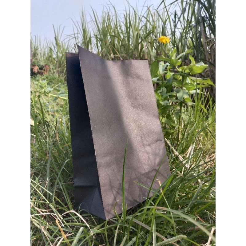

PAPERBAG KERTAS HITAM UKURAN 20×30