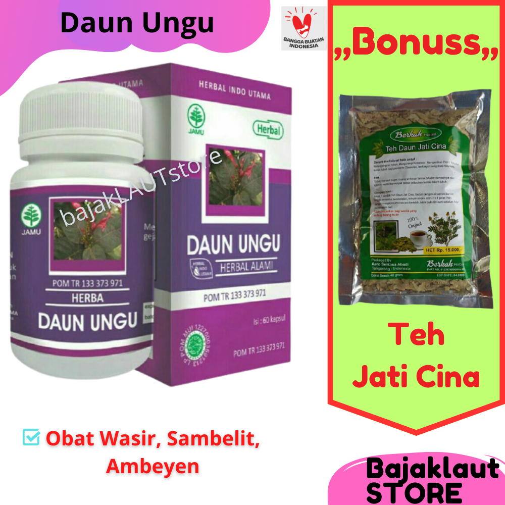 Daun Ungu Obat Wasir Sembelit Luar Dalam Berdarah Bonus Teh Daun Jati Cina Melancarkan BAB