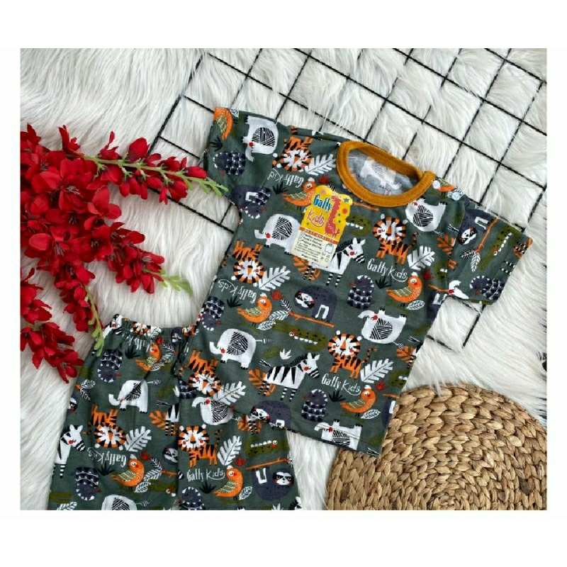 setelan Baju Anak Laki Dan Perempuan Motif Gaffy Kids