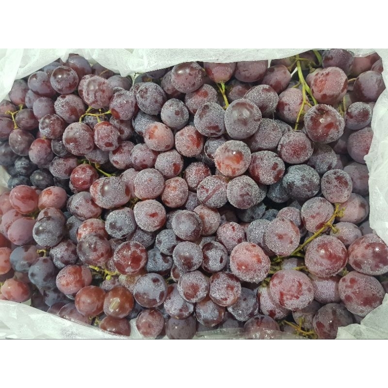 

Buah Angur Merah Ausi 500gr – Segar, Manis & Renyah Siap Santap