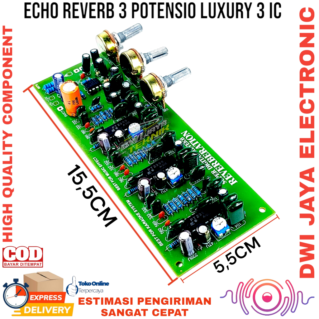 Kit Echo Reverb Luxury ptc nyess