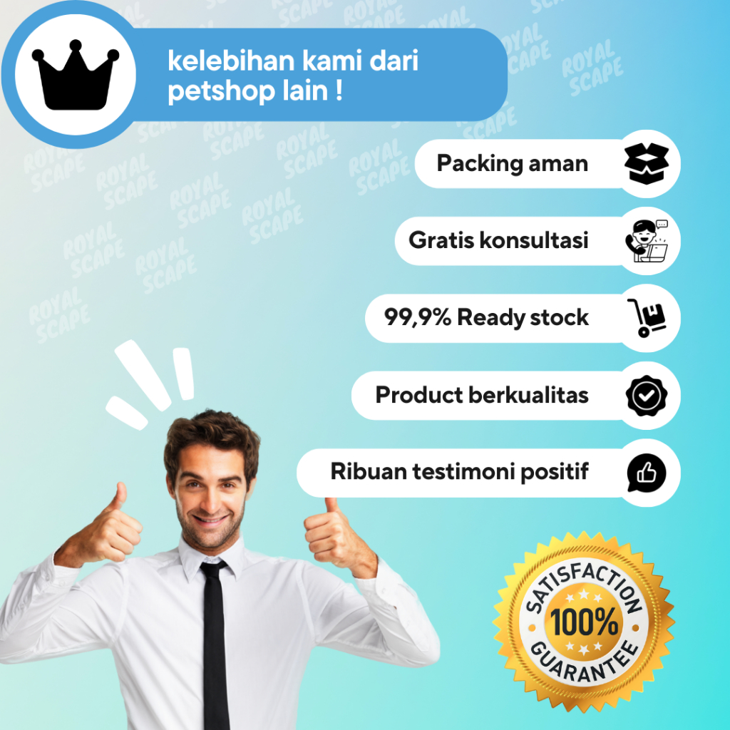 Obat Kucing Vita D2, Obat Virus Kucing Flu Berat, Panleu, Calici, Distemper, Mencret, Pipis Darah, Sariawan, Lemes, Muntah