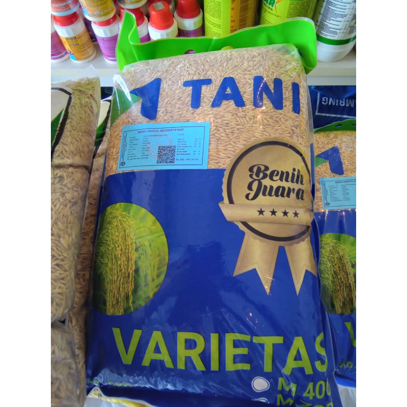 Benih Padi Bibit Padi M70D