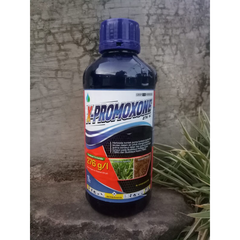Herbisida Kontak X-Promoxone 276 SL