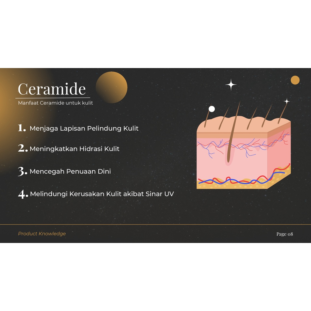 Reglow dr Shindy Skincare Whitening Night Cream Krim Malam Pencerah Dan Glowing ORI