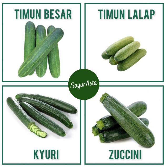 

TIMUN BESAR / TIMUN LALAP / TIMUN KYURI / TIMUN ZUCCINI