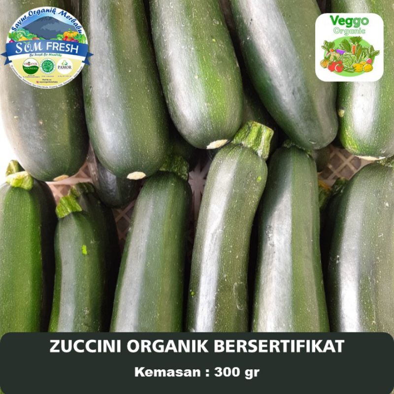 

Zuccini Organik