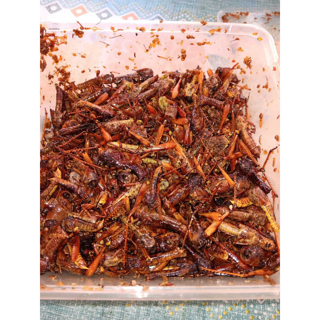 

BELALANG GORENG PEDAS GURIH,, GURIH ORIGINAL BELALANG KAYU 1KG