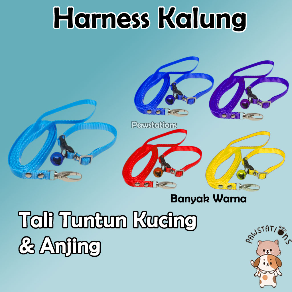 Tali Tuntun + Kalung Kucing dan Anjing Cat Leash Dog Leash