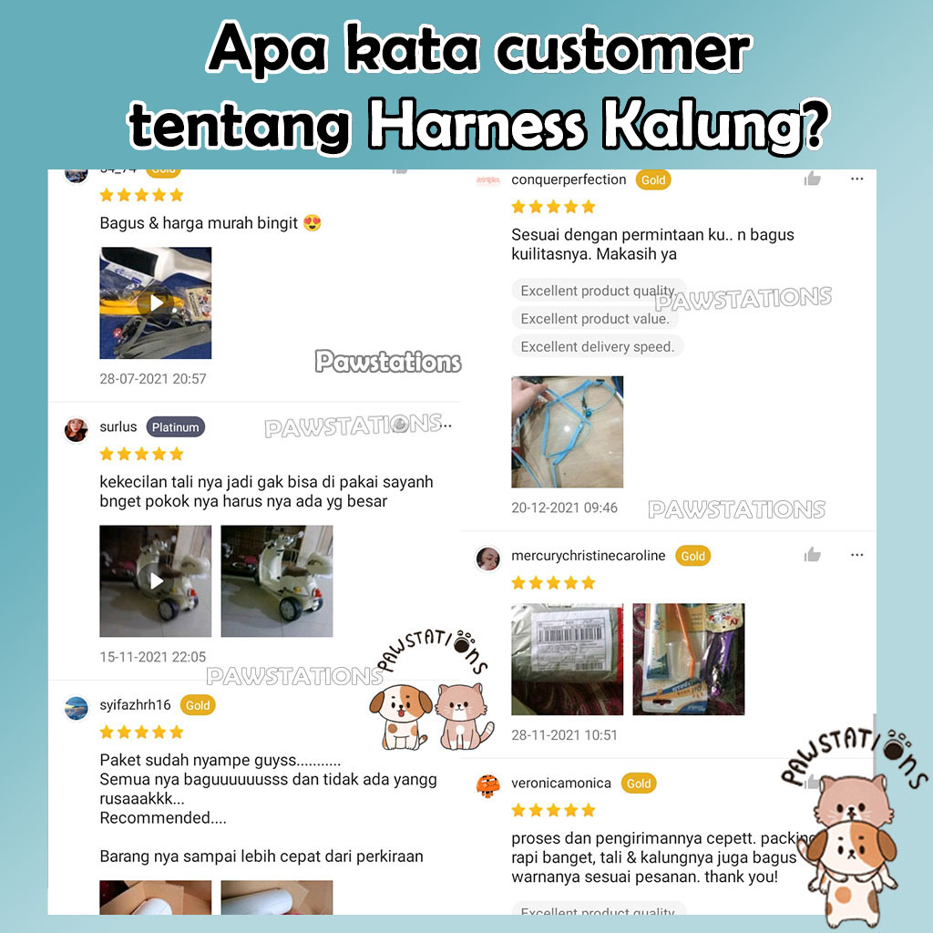 Tali Tuntun + Kalung Kucing dan Anjing Cat Leash Dog Leash