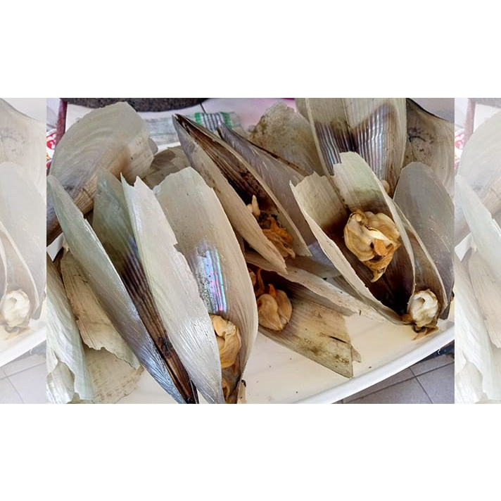 

Kerang Jenis Panggang Pulut 250gr