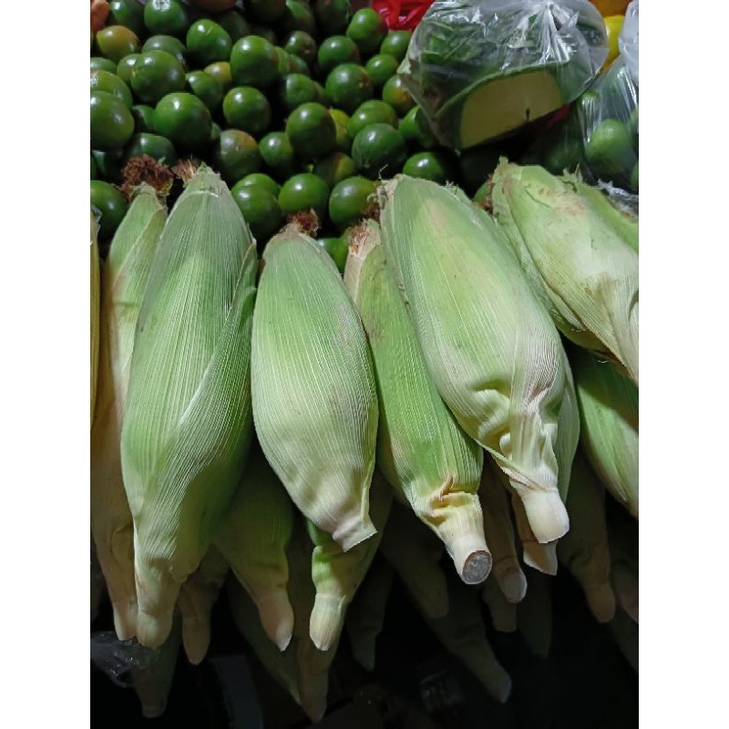 

Jagung Manis Bungkus Daun Segar