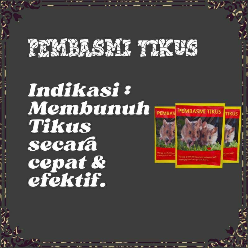 PEMBASMI TIKUS PALING AMPUH DI RUMAH DAN SAWAH