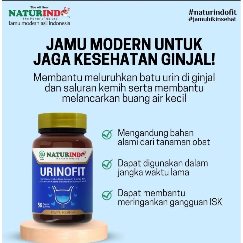 Jamu Herbal Sakit Ginjal Batu Ginjal Gangguan Ginjal