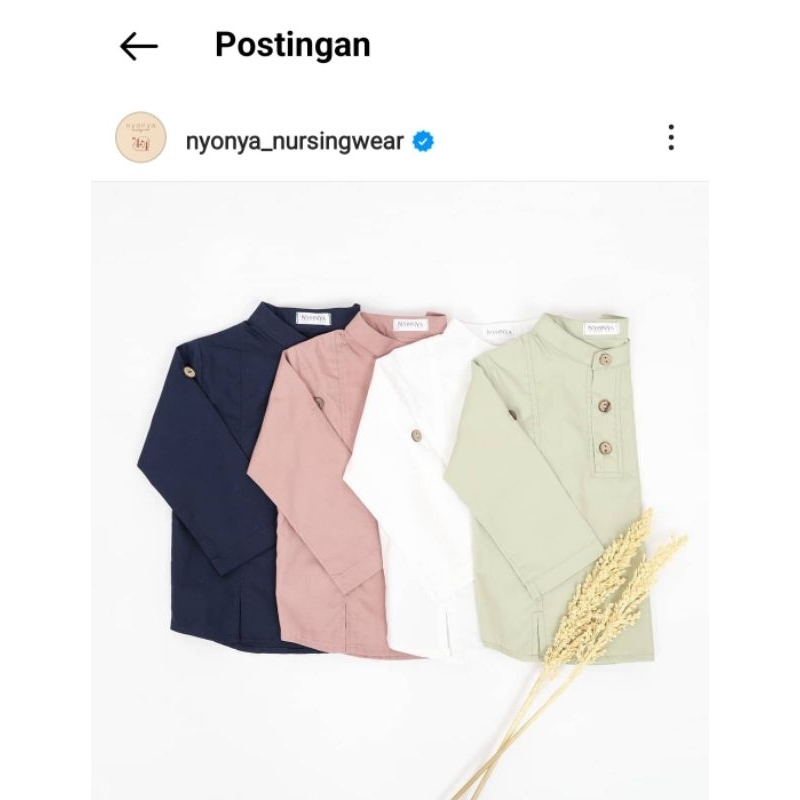 Wola Koko Anak Nyonya Nursing Wear