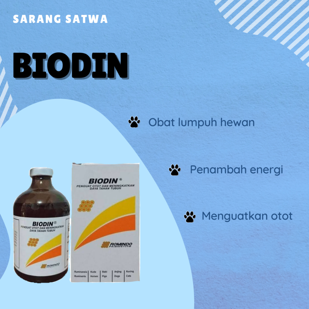 BIODIN OBAT PENGUAT OTOT SUMBER ENERGI ATP MENINGKATKAN DAYA TUBUH HEWAN