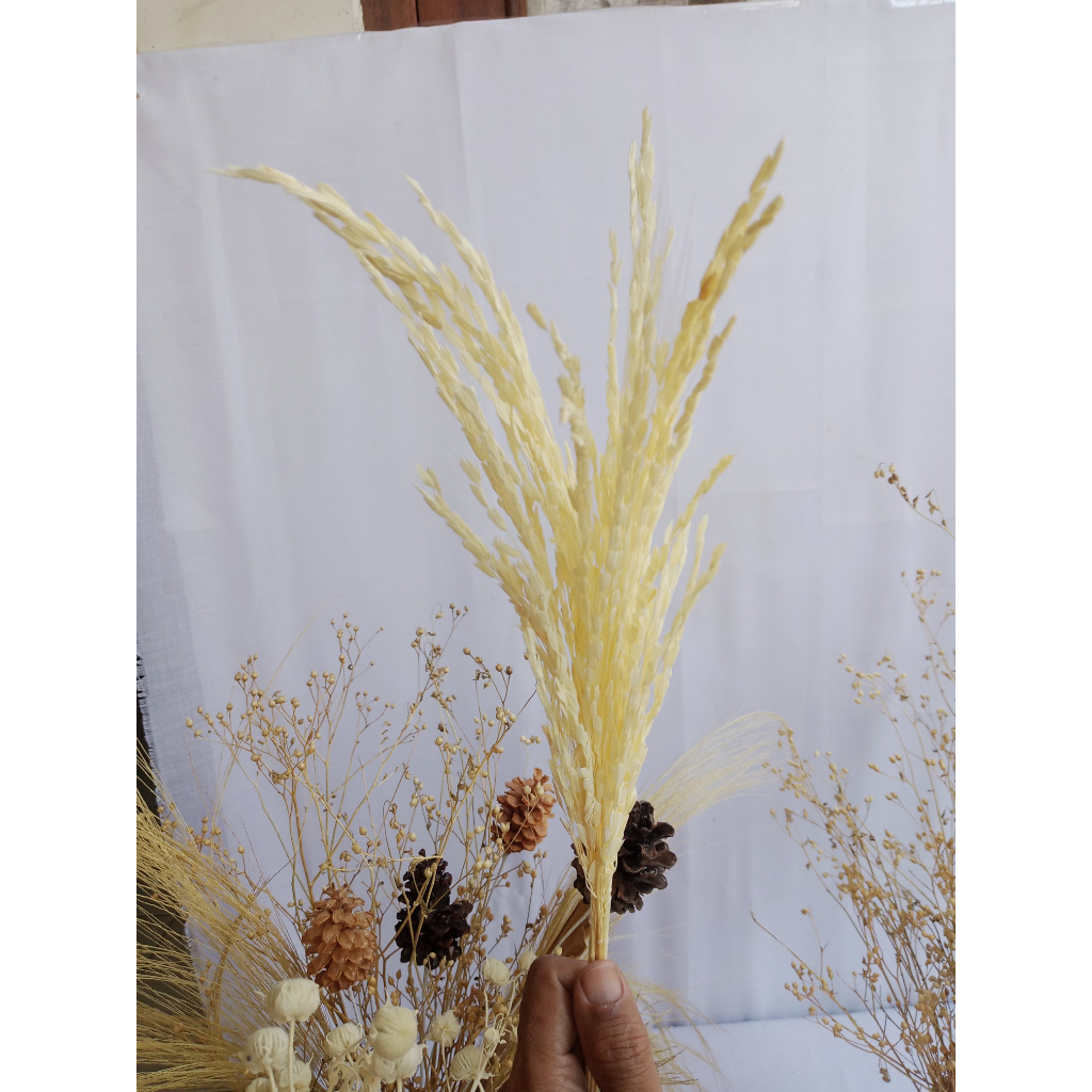 bunga kering, padi kering dekorasi, rustic, bahan biket, mahar