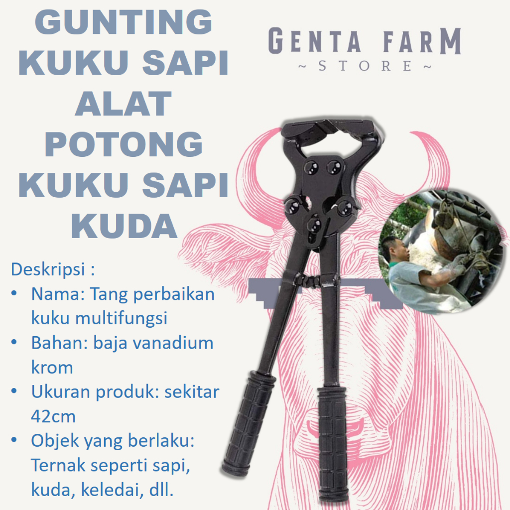 Gunting Kuku Sapi Alat Potong Kuku Sapi Kuda