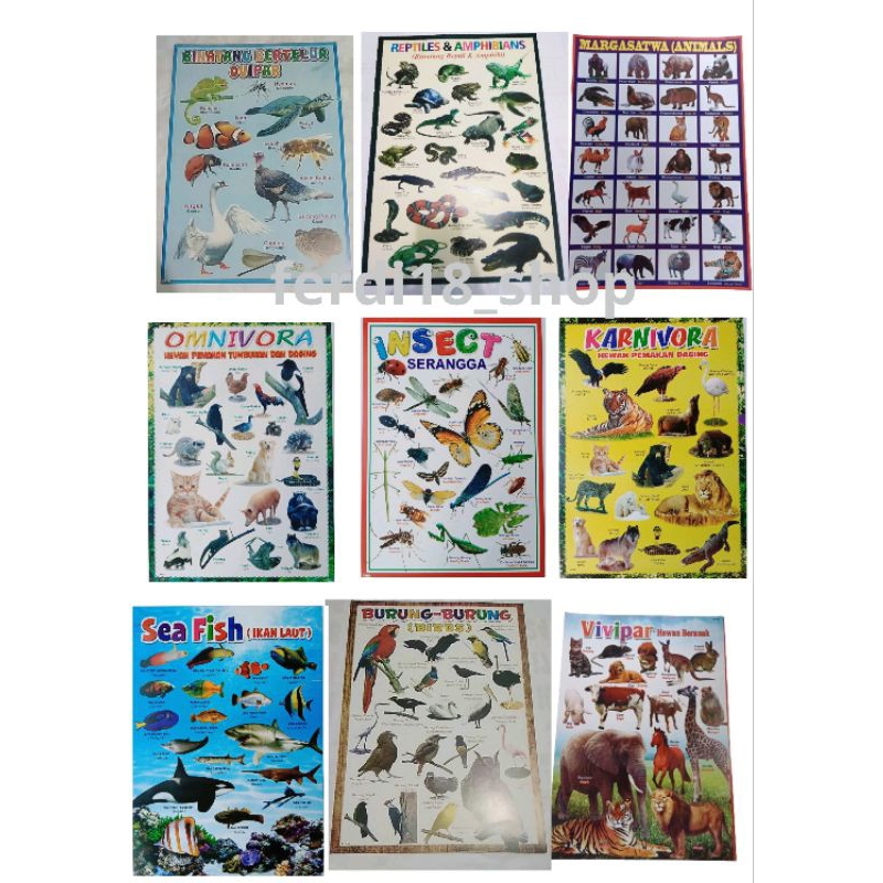 Poster Dinding Edukasi Anak Lengkap Hewan Hewan