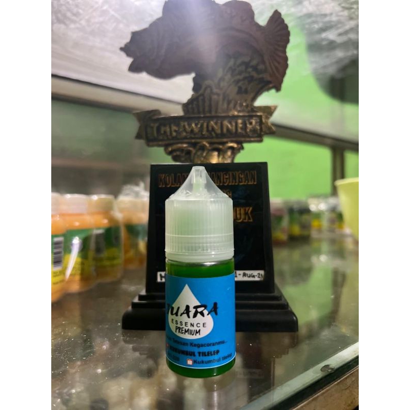 Essen ikan mas paling ampuh gacor, Essen Juara Melon daging usar lomba mancing ikan mas