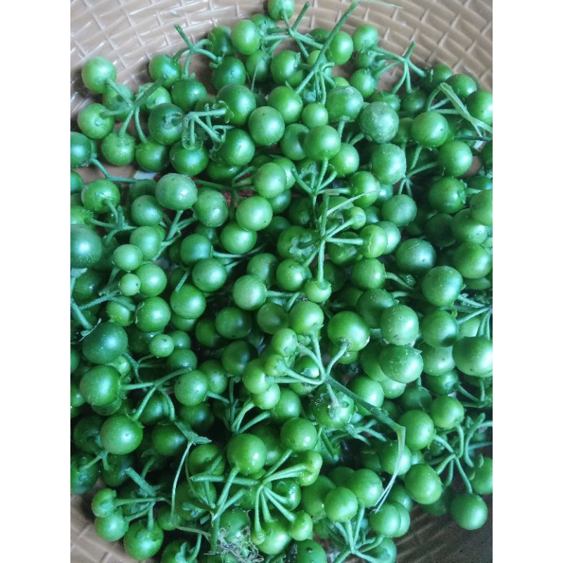 

Buah leunca / Ranti 500gr