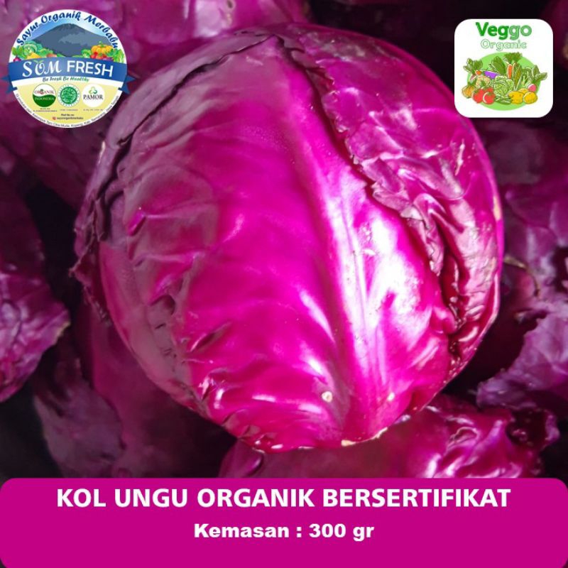 

Kol Ungu Organik