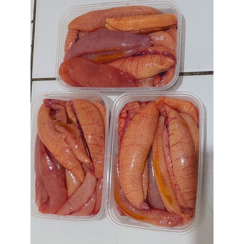 

Telur Ikan Tenggiri Super Fresh