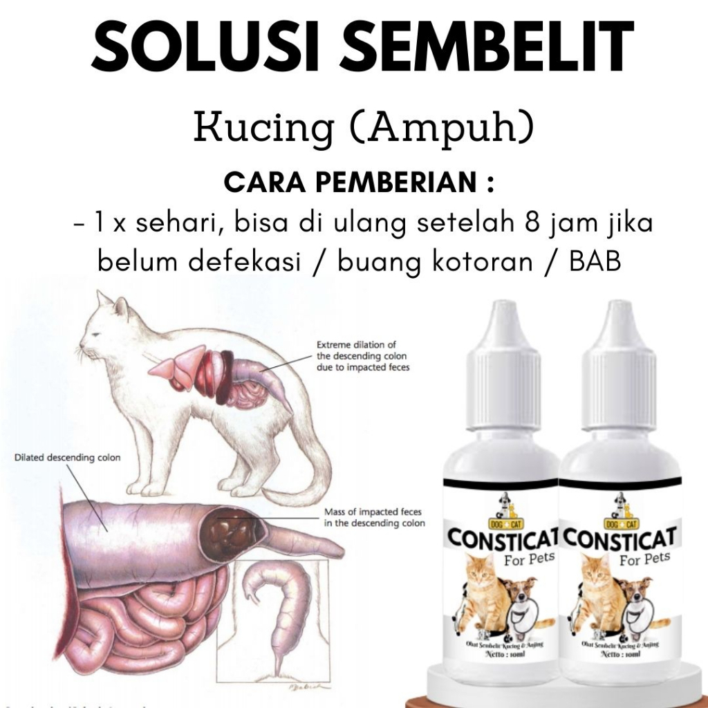 Obat Ambeien Sembelit Susah Buang Air Besar Kucing CONSTICAT 10 ML FEFARM