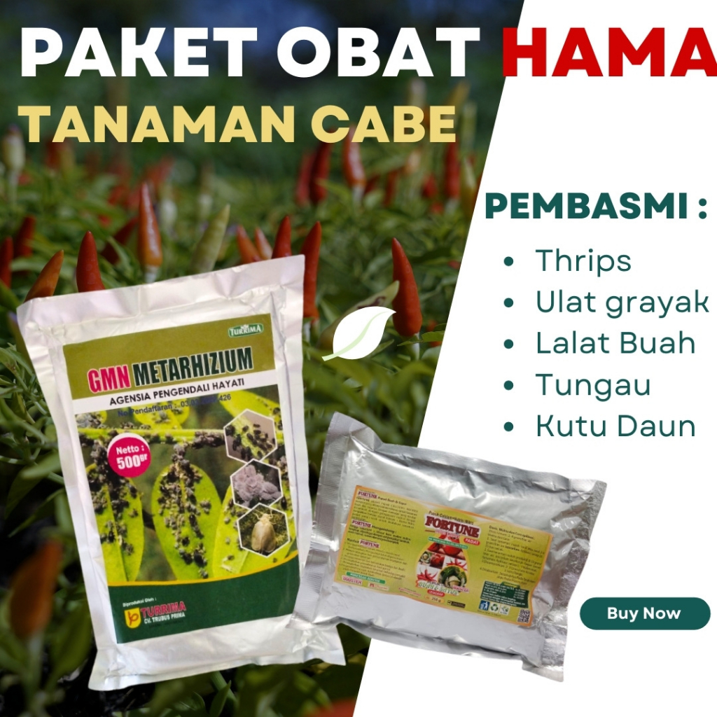Obat Cabe Daun Kuning dan Keriting, Paket Obat Hama Cabai, Pupuk Booster Cabe Serbuk