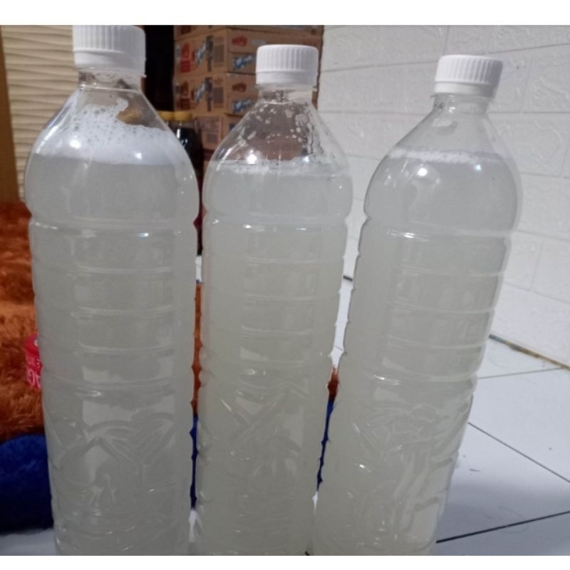 

NIRA KELPA MURNI/BADEG 1 liter ,obat alami,obat herbal