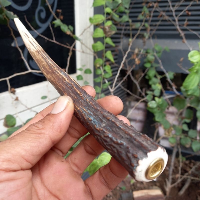 ONCE PIPA TANDUK R KUPASAN DAN ORIGINAL PANJANG BERVARIASI SANGAT ISTIMEWA