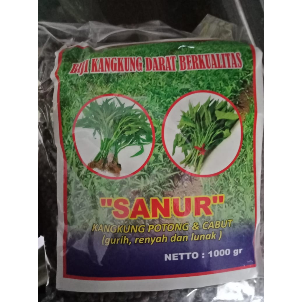

Biji kangkung darat potong dan cabut sanur berkualitas 1 kg murah