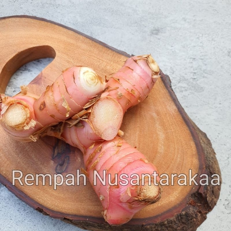 

Laos / lengkuas fresh 1 kg