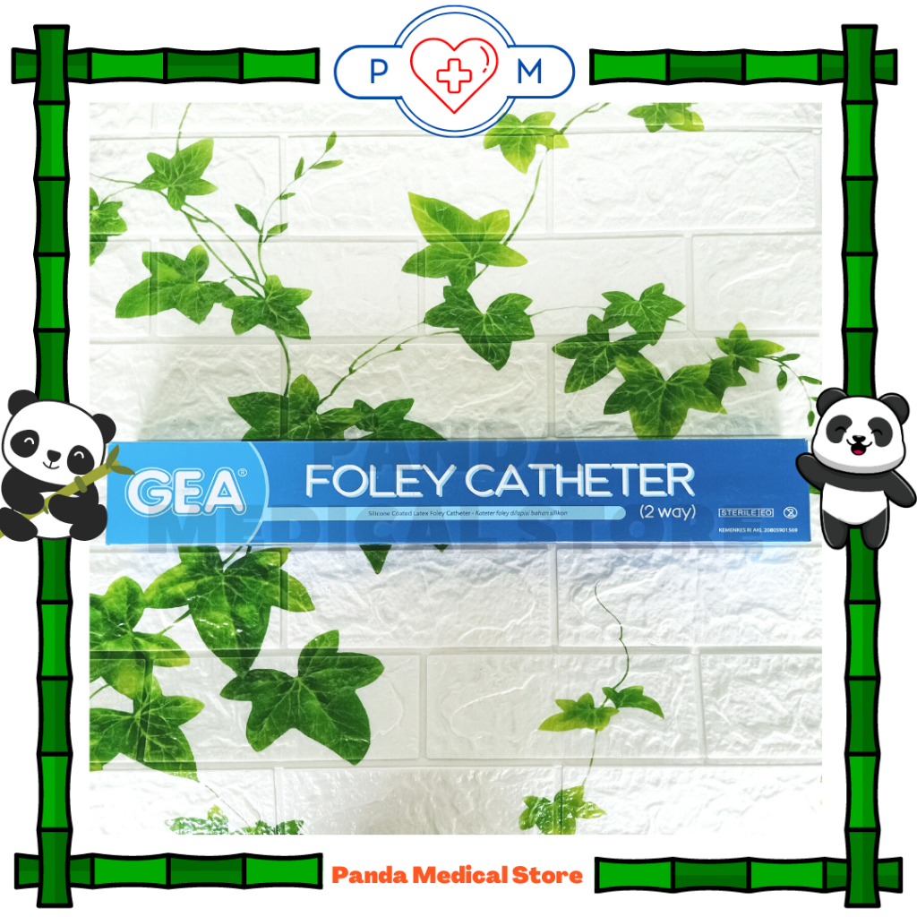 Foley Catheter / Folley Cateter / Foley Kateter 2W isi 10 Pcs GEA