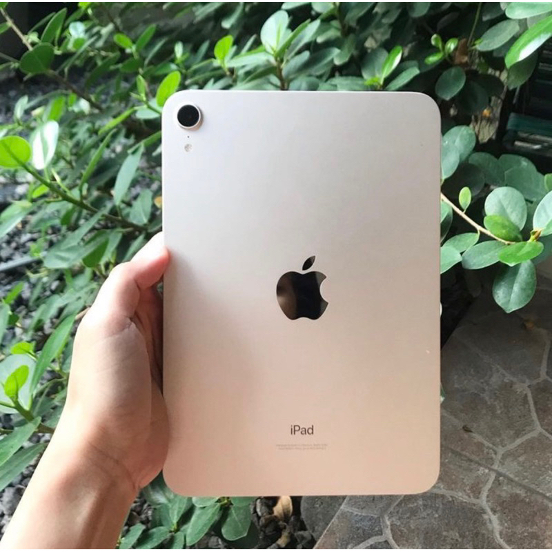 preloved ipad mini 6