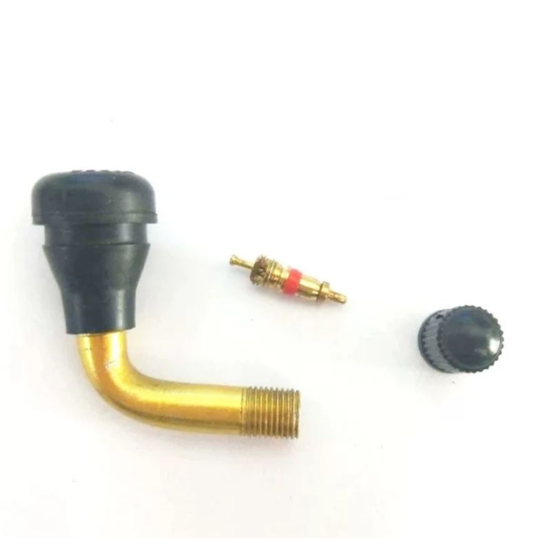 Pentil Tubeless Bengkok Motor Listrik Pentil Tubeles PVR60