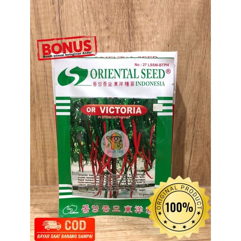 Benih Cabe OR Victoria dari Oriental Seed