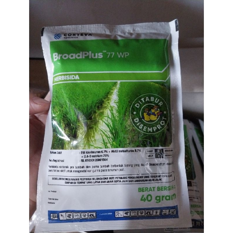 Broadplus 10/10wp 40gram original 100%