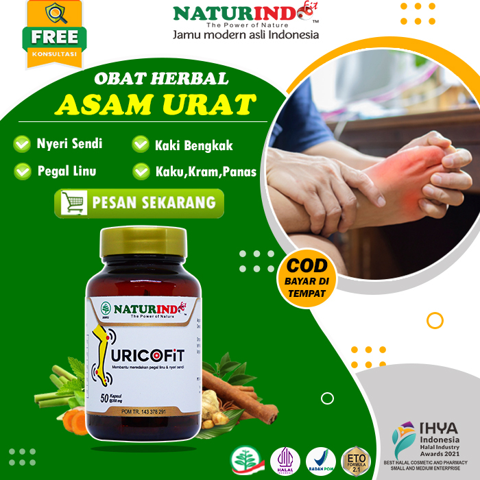 Obat Asam Urat Ampuh Obat Herbal Asam Urat Jamu Asam Urat URICOFIT Naturindo
