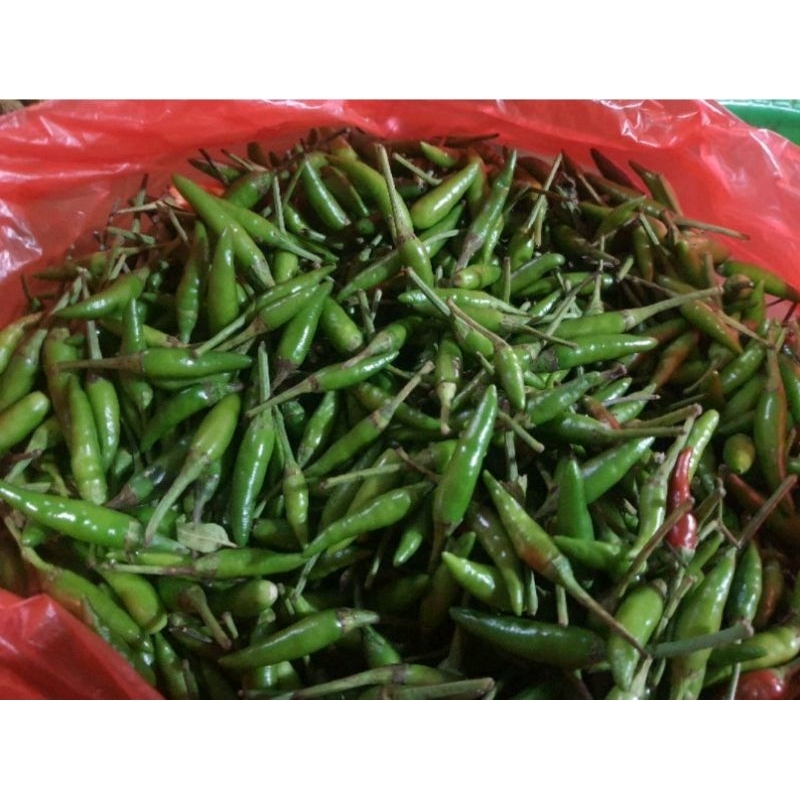 

[SKD Bumbu] RAWIT HIJAU CAPLAK 250 GRAM