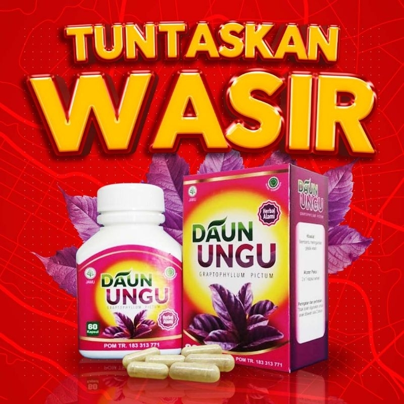OBAT HERBAL WASIR KAPSUL DAUN UNGU / HERBAL AMBEIEN KAPSUL DAUN UNGU PREMIUM / DAUN UNGU