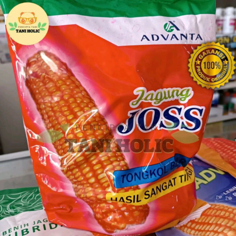 Benih Jagung ADV Joss
